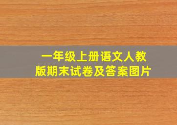 一年级上册语文人教版期末试卷及答案图片