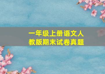 一年级上册语文人教版期末试卷真题