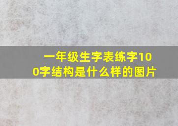 一年级生字表练字100字结构是什么样的图片