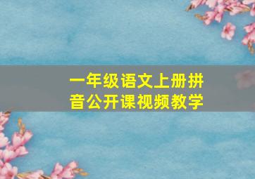 一年级语文上册拼音公开课视频教学