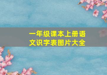 一年级课本上册语文识字表图片大全