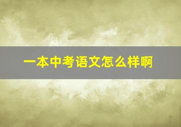 一本中考语文怎么样啊