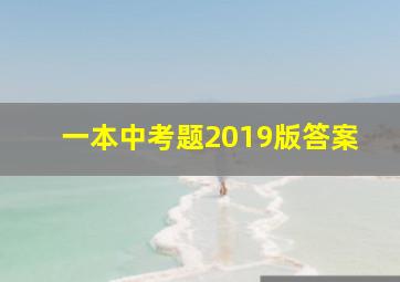 一本中考题2019版答案