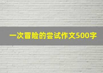 一次冒险的尝试作文500字