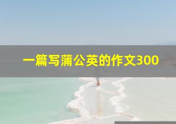 一篇写蒲公英的作文300