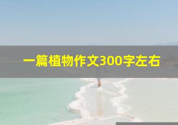 一篇植物作文300字左右