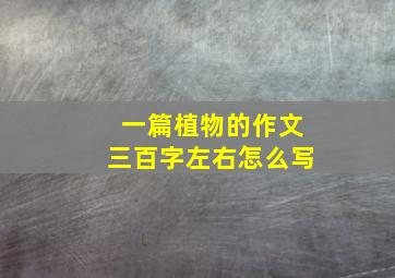 一篇植物的作文三百字左右怎么写