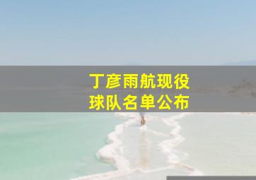 丁彦雨航现役球队名单公布