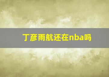 丁彦雨航还在nba吗