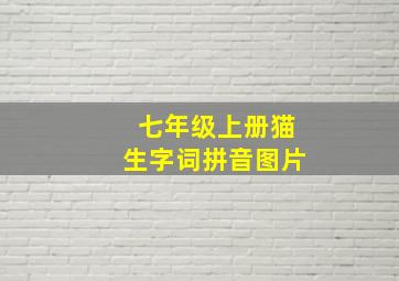 七年级上册猫生字词拼音图片