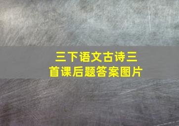 三下语文古诗三首课后题答案图片