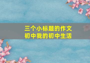 三个小标题的作文初中我的初中生活