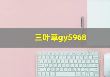 三叶草gy5968