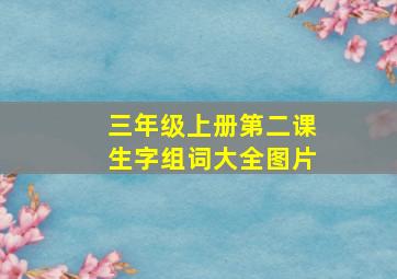 三年级上册第二课生字组词大全图片