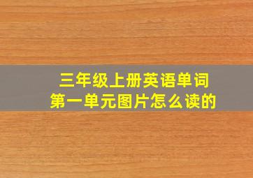 三年级上册英语单词第一单元图片怎么读的