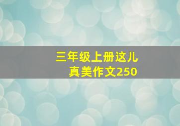 三年级上册这儿真美作文250