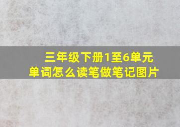 三年级下册1至6单元单词怎么读笔做笔记图片