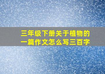 三年级下册关于植物的一篇作文怎么写三百字