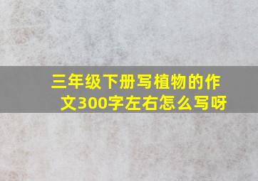 三年级下册写植物的作文300字左右怎么写呀