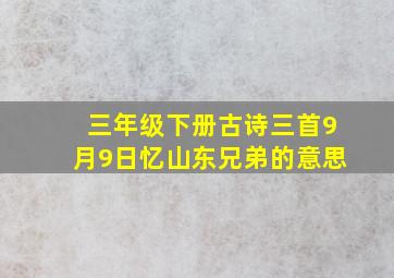 三年级下册古诗三首9月9日忆山东兄弟的意思