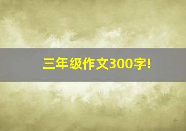 三年级作文300字!