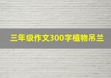 三年级作文300字植物吊兰