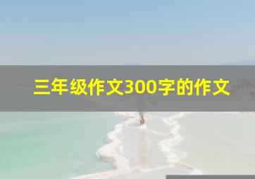 三年级作文300字的作文