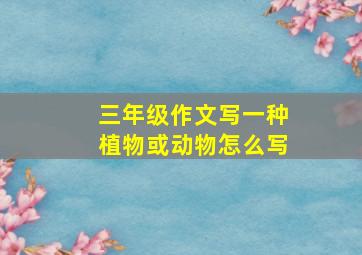 三年级作文写一种植物或动物怎么写