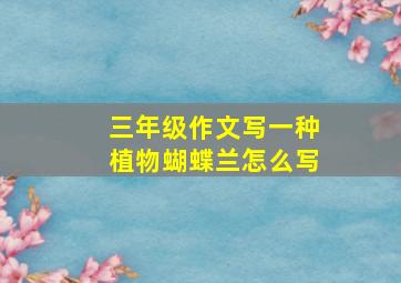 三年级作文写一种植物蝴蝶兰怎么写