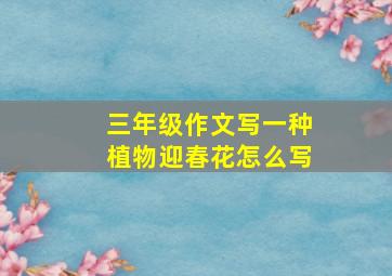 三年级作文写一种植物迎春花怎么写