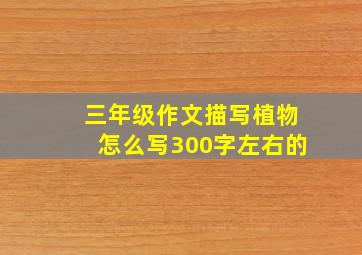 三年级作文描写植物怎么写300字左右的