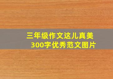 三年级作文这儿真美300字优秀范文图片