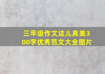 三年级作文这儿真美300字优秀范文大全图片