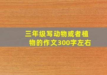 三年级写动物或者植物的作文300字左右