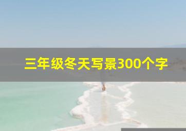 三年级冬天写景300个字