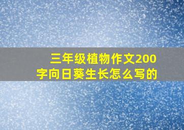 三年级植物作文200字向日葵生长怎么写的