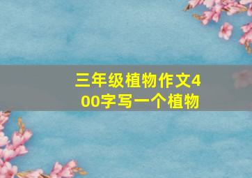 三年级植物作文400字写一个植物