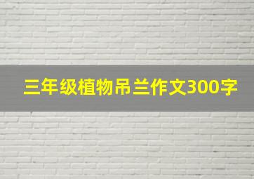 三年级植物吊兰作文300字