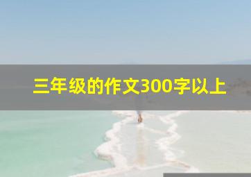 三年级的作文300字以上