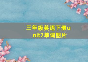 三年级英语下册unit7单词图片