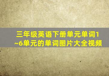 三年级英语下册单元单词1~6单元的单词图片大全视频