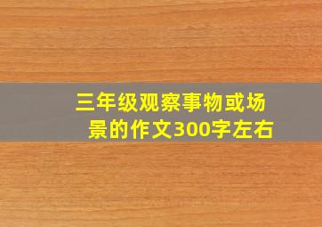 三年级观察事物或场景的作文300字左右