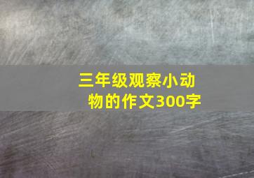 三年级观察小动物的作文300字