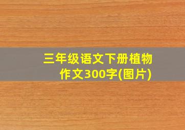 三年级语文下册植物作文300字(图片)