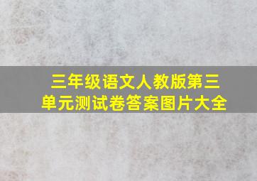 三年级语文人教版第三单元测试卷答案图片大全