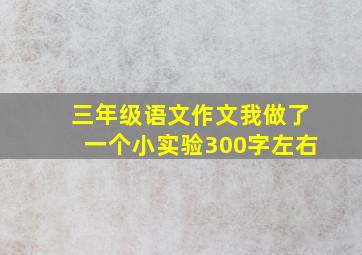 三年级语文作文我做了一个小实验300字左右