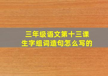 三年级语文第十三课生字组词造句怎么写的