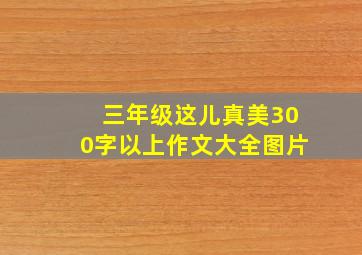 三年级这儿真美300字以上作文大全图片