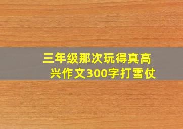 三年级那次玩得真高兴作文300字打雪仗