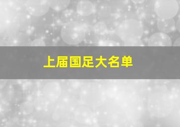 上届国足大名单